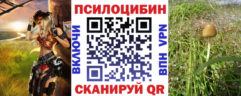 продажа наркотиков Печора Псилоцибиновые грибы мицелий